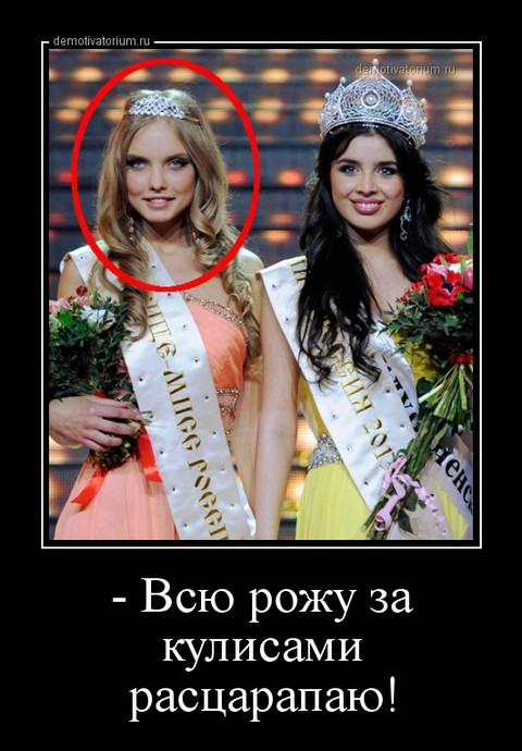 9167.jpg