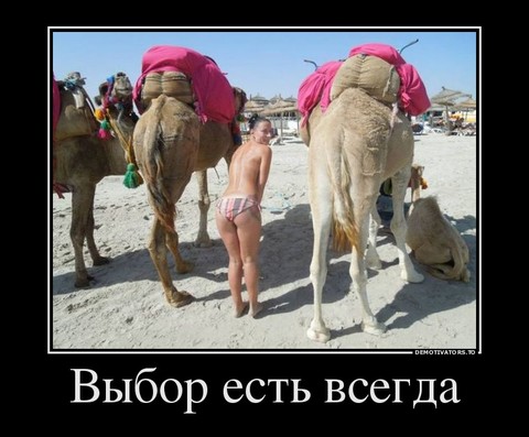 vyibor-est-vsegda.jpg