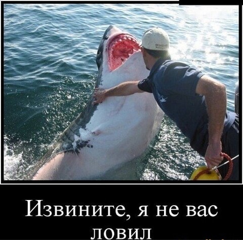 2f9e3a3e-1b22-4dc9-a947-5a1f65d7e5d8.jpg