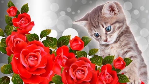 169121 kotek roze.jpg