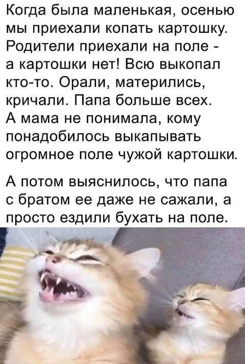 47c1b4c7-8a40-4d01-a7b0-b6103ee367f6.jpg