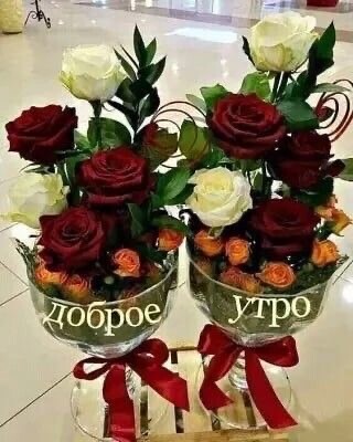 Доброе Утро.jpg