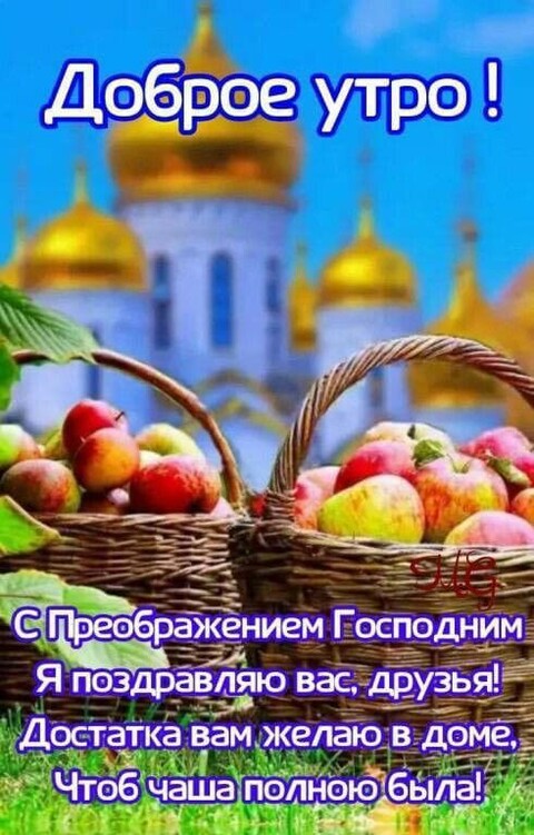 IMG-20240819-WA0010.jpg