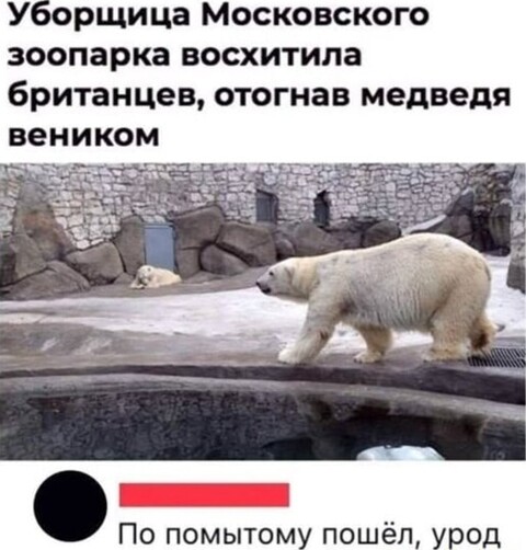 f5f688bd6a98e5b34e3abd534e1d45c417c0b11a6e1b18906048e8c0b0e98ee0 1 jpg 1.jpg
