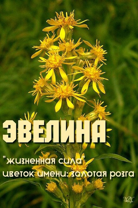 c86effcc936ac77ad9c5553819af25b5.jpg