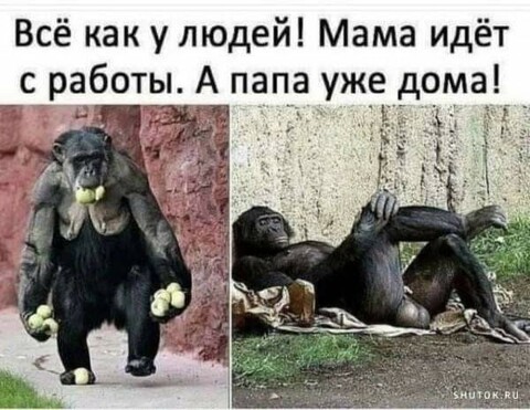 808c20a08d040760165a5257d42db85a.jpg