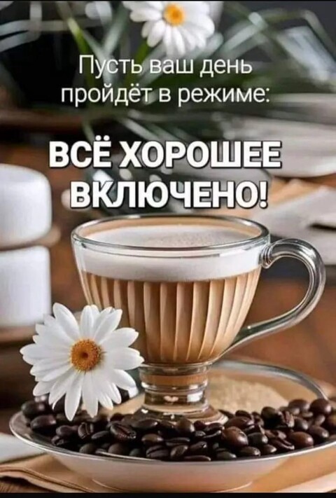 d9bc56bd-96a8-4a90-846d-424aa005e43f.jpg