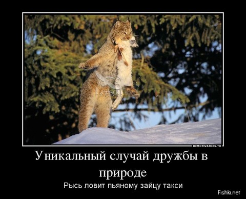 cfc39 dem-0014.jpg
