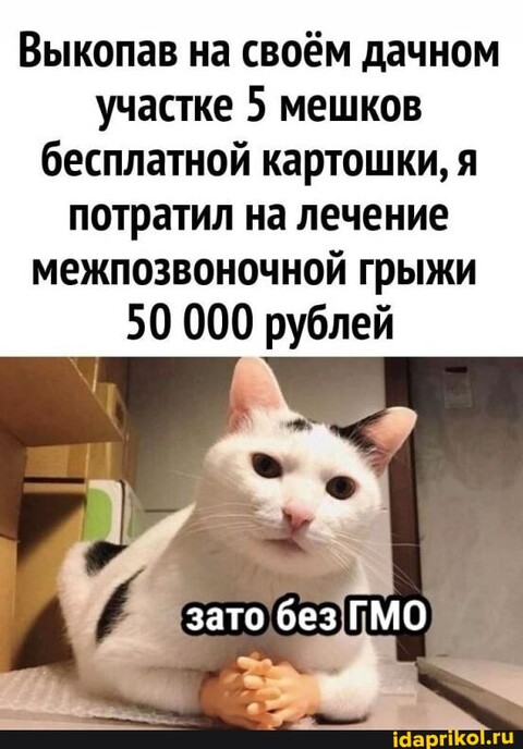 8a48ce6cc2993cbbcc03ad73f55d21772f439c782c2fc2ebed8e7c36105ed166 1 jpg.jpg