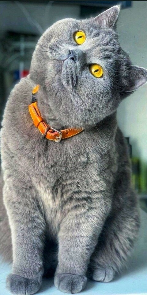 05a62a8d804e6e1c0e826ee0df2e53fd.jpg