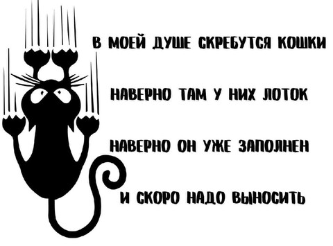 842afdc2-479a-4b64-9b83-5b394525936c.jpg