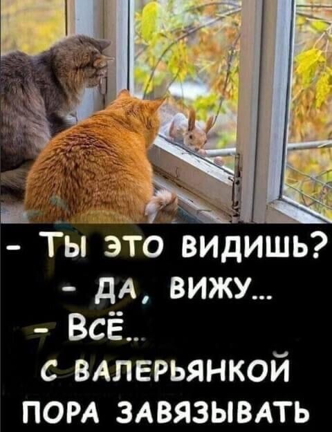 004550cc5352bca893ec329b0a53917f.jpg