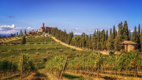 italiia-toskana-castello-banfi-polia-kholmy-derevia-doma-vin.jpg