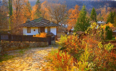 63971-derevnya osen dorozhka.jpg