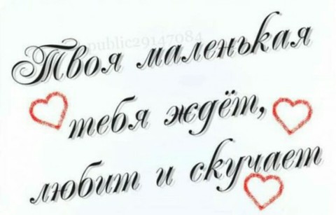 tvoya malenbkaya.jpg