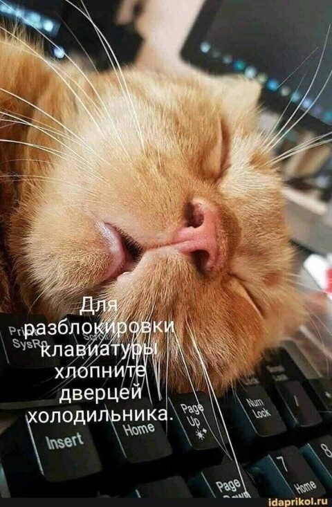 85a85bee8459ac37475c057fc854a480.jpg