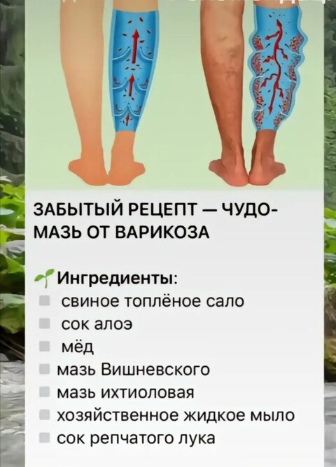 0f25f59644d363665eed01332ce86c35.jpg