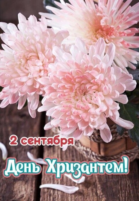 83be2d5f-f88a-4a5b-b8c9-76aa5d9520fe.jpg