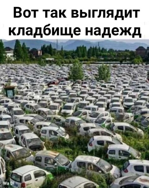 1627954030881.jpg