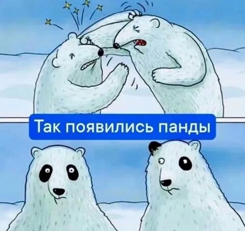 6a28f0d4-86f5-428a-a8a2-0a5e35e66abb.jpg