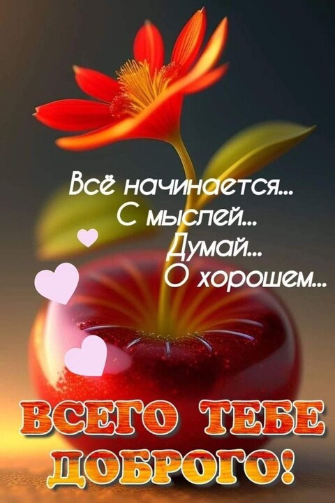 588f091f7dcd0edf15a007c7726bca87.jpg